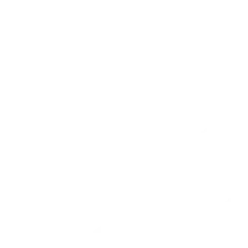 e-Ledger Module