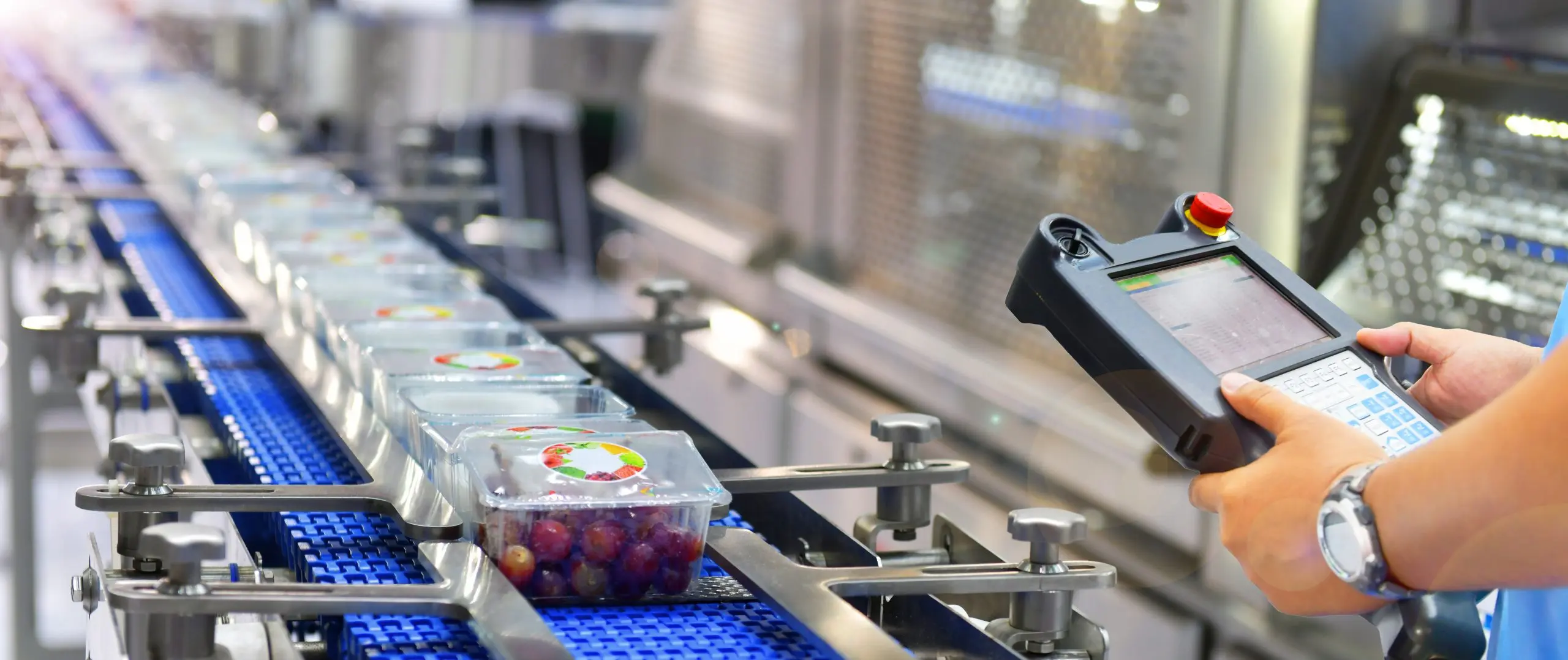 Hitsoft | Food Industry