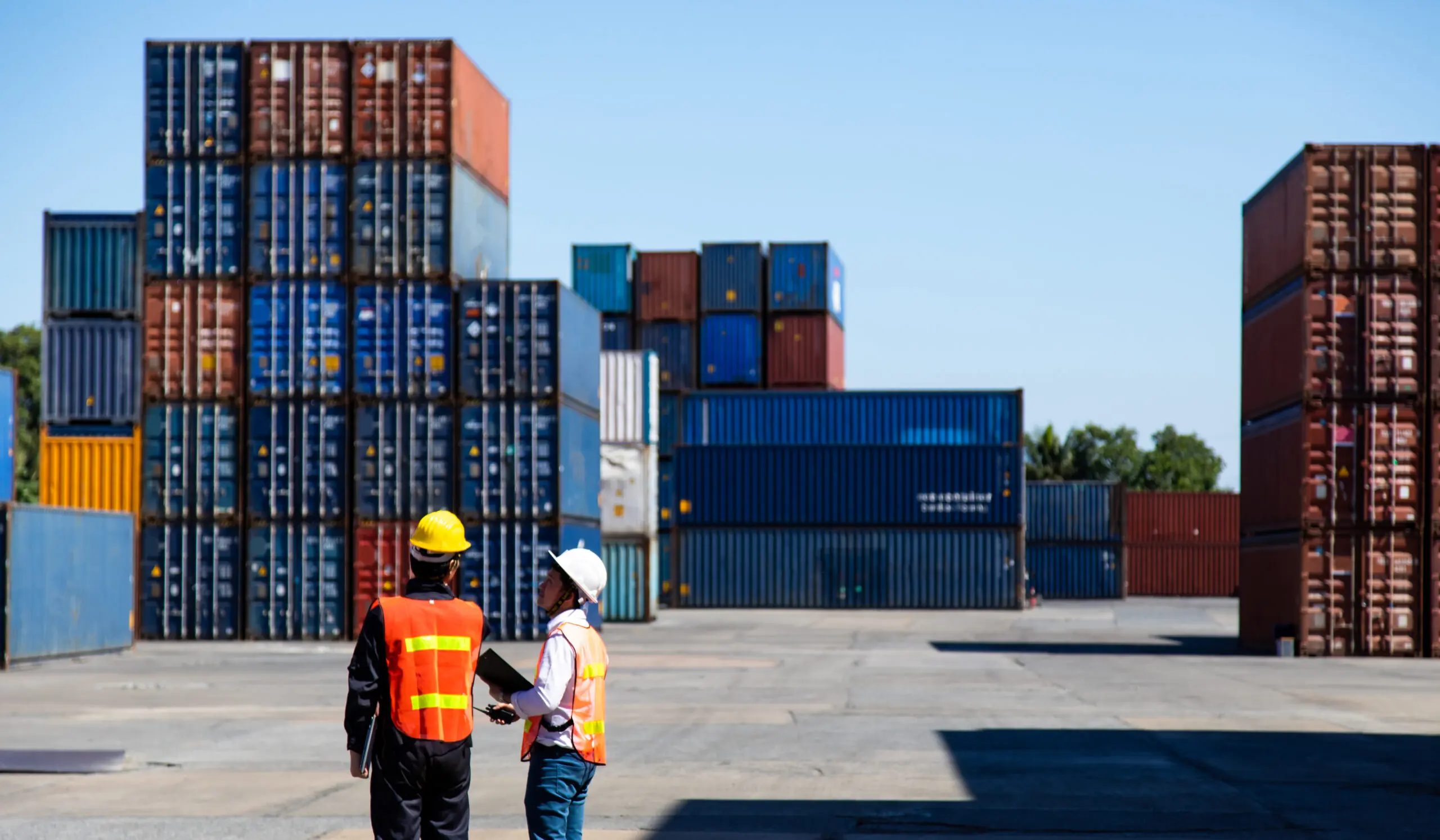 Hitsoft | Wholesale and Distribution Sector