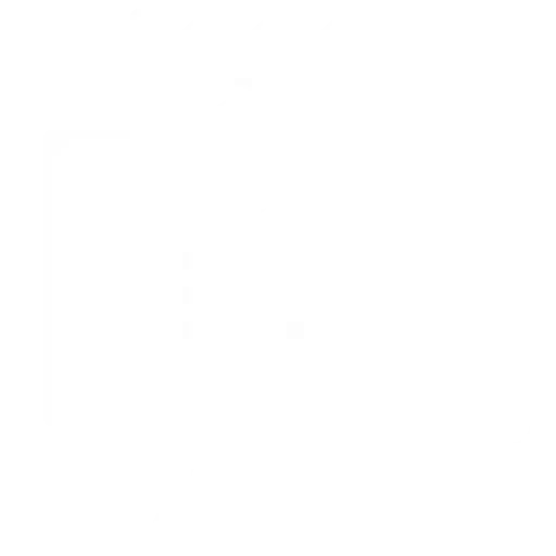 e-Invoice Module