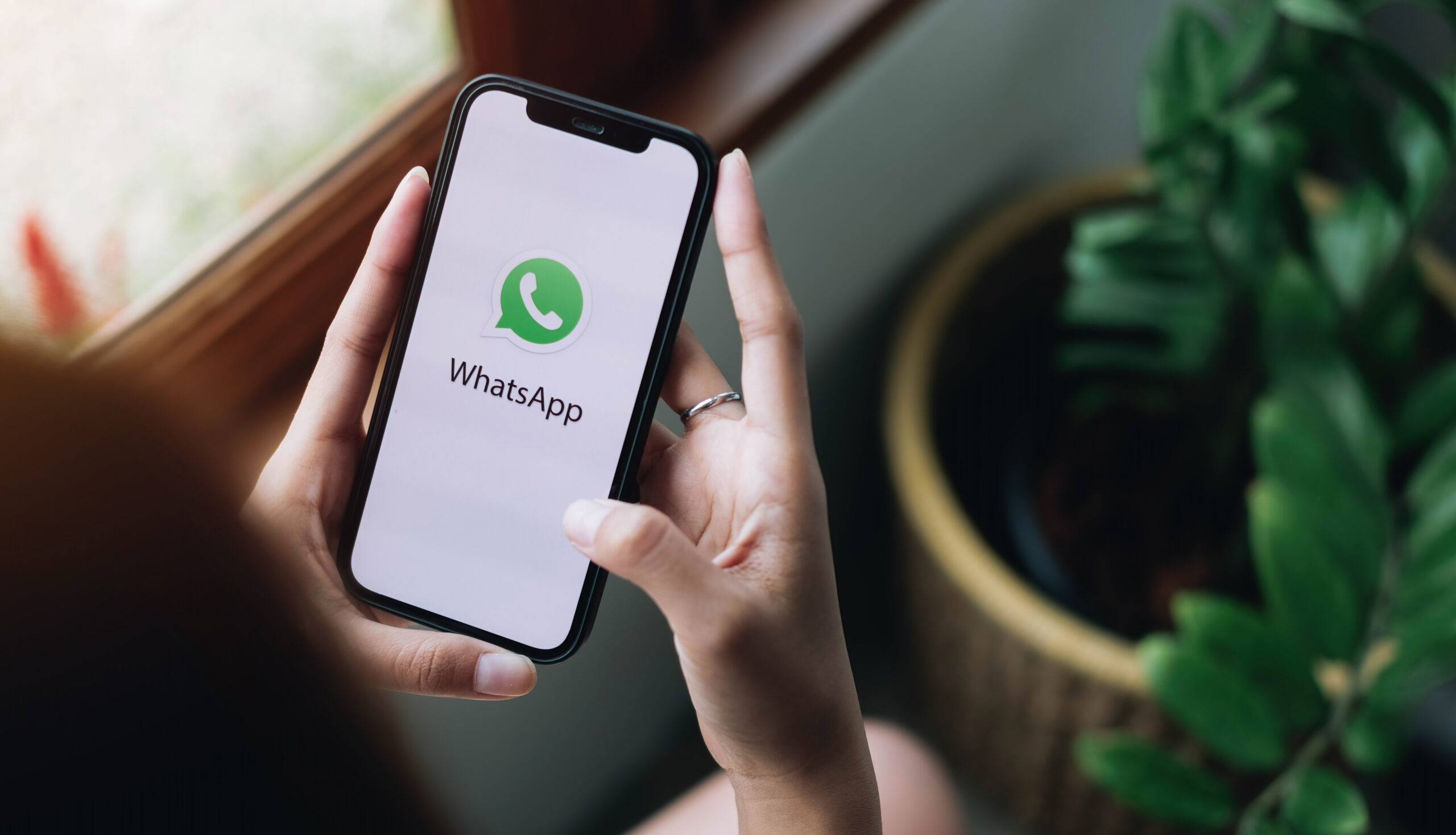 Hitsoft | Hitassistan – WhatsApp Integration