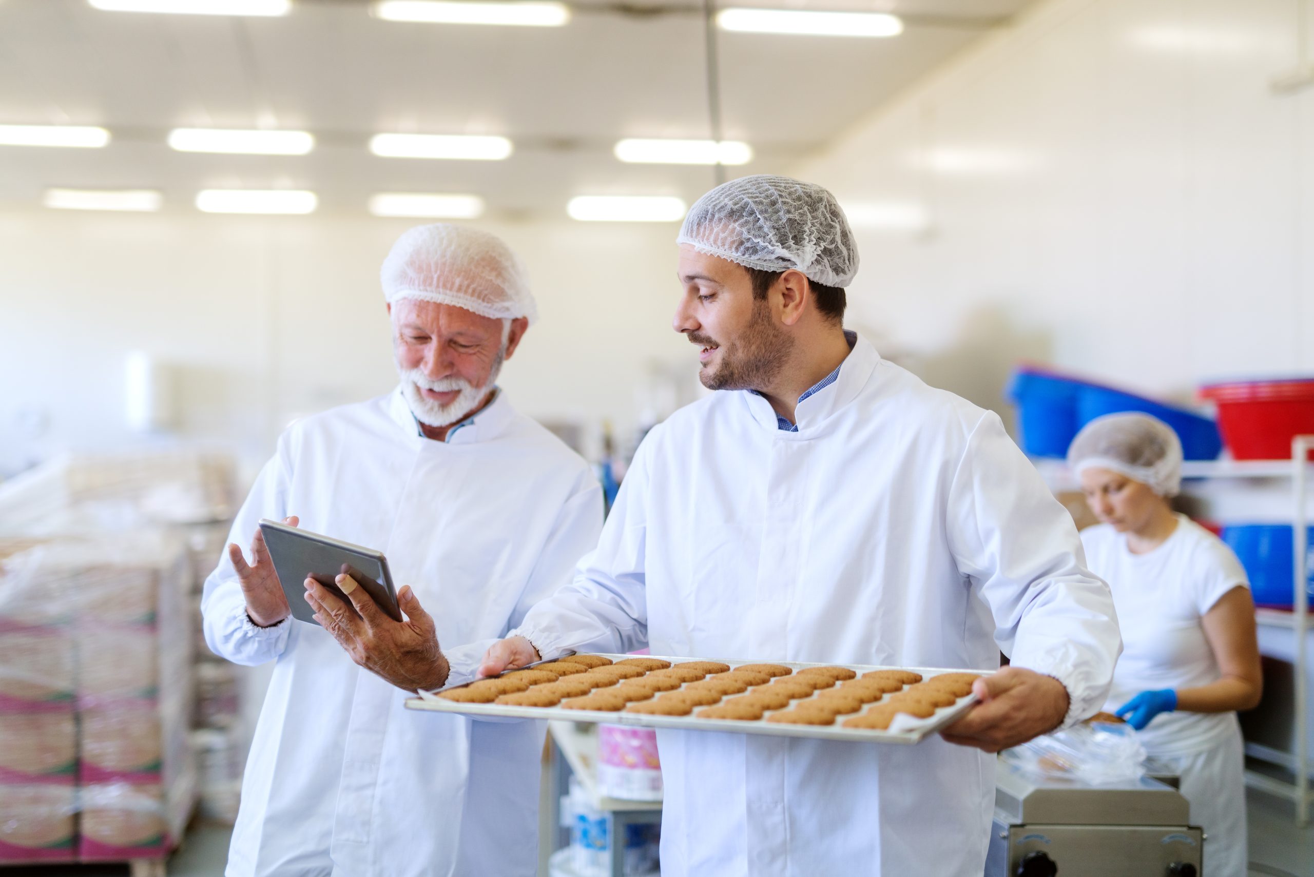 Hitsoft | Food Industry