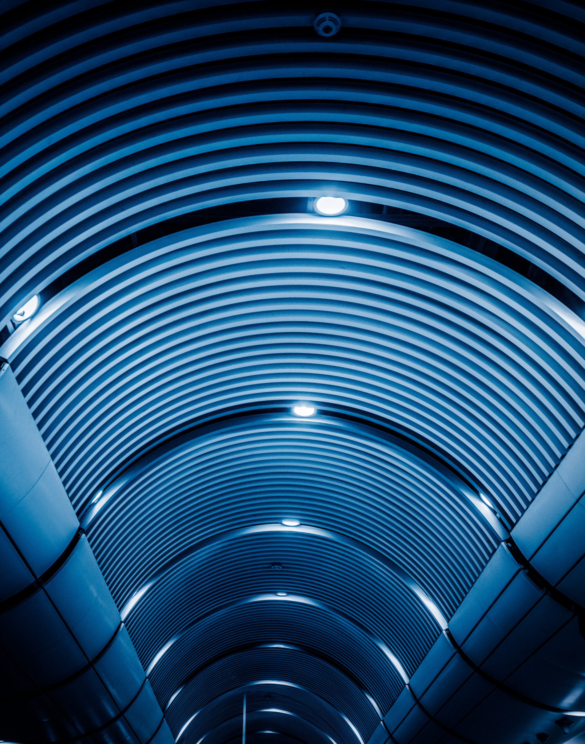 Why Partner with Hitsoft for Digital Transformation?